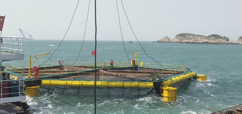 2020��3��������O����b